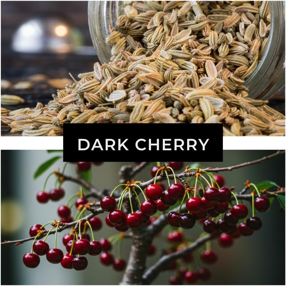 Black Cherry Bonsai Tree for Growing - 1 Year Seedling - Ready to Plant (1 Seedling)