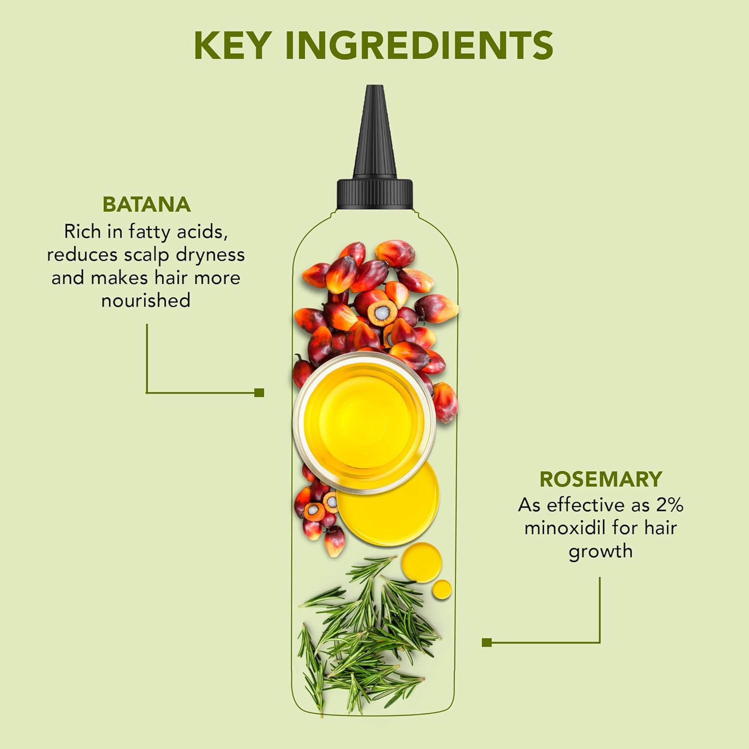 Botanic Hearth Hair Oil for Hair Growth & Home Hair Perm Kit | Strengthening Dry, Frizzy, Damaged Hair & Scalp Treatment | Rosemary Batana Hair Oil – 6.7 Fl Oz (2 Pack) - Image 2