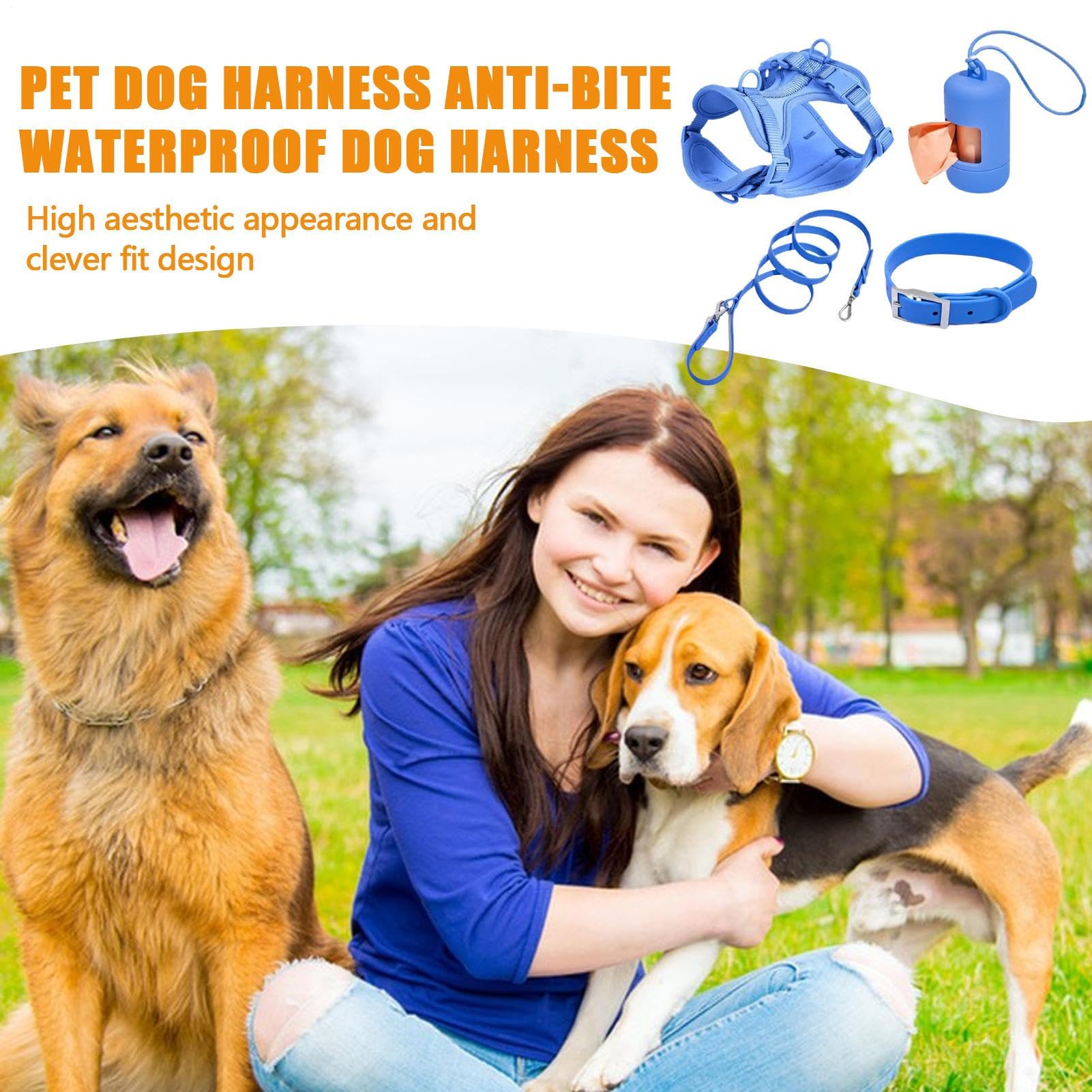 Juego de arnés para perros pequeños, arnés para perros medianos – Arnés | para mascotas, collar y correa en el set – Juego de correa «Step in No Pull» para mascotas y cachorros con Kotbeu