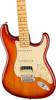 Fender Am Pro Strat HSS 2019 ケース付 Fender Am Pro Strat HSS 2019 ケース付 American Professional