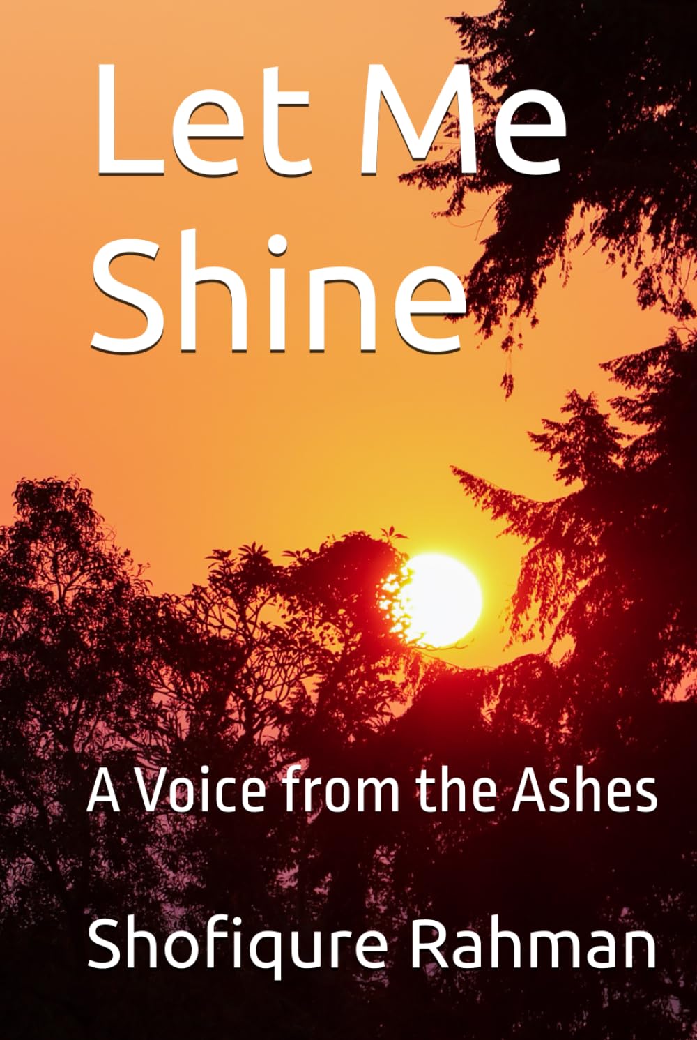Let Me Shine: A Voice from the Ashes (Rohingya Futures)