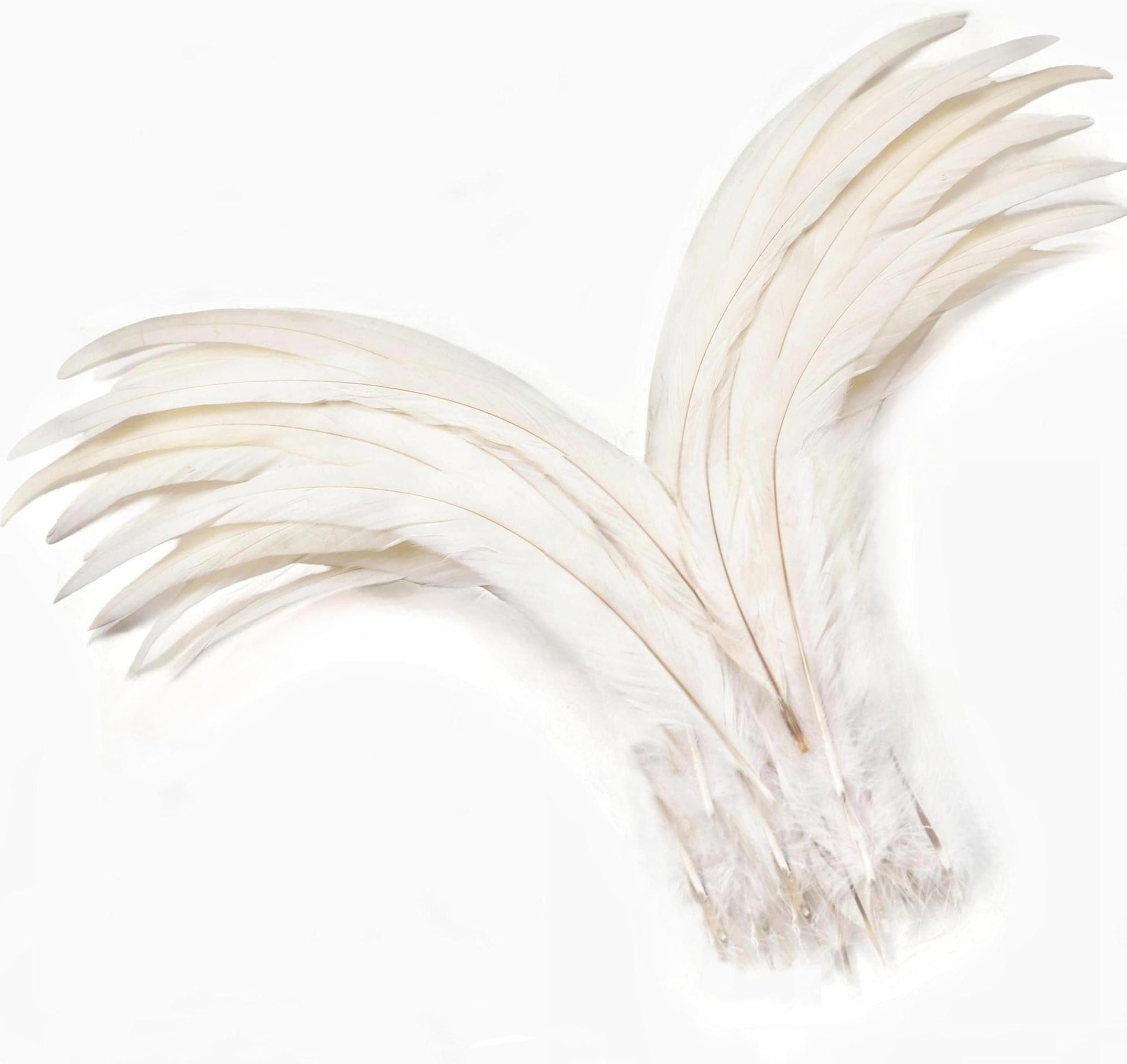 Holmgren Off-White Rooster Tail Feathers - 60pcs 12-14inch Large Rooster Tail Feathers Bulk for DIY Crafts, Wedding Party Performances Christmas Decoration(Off White)