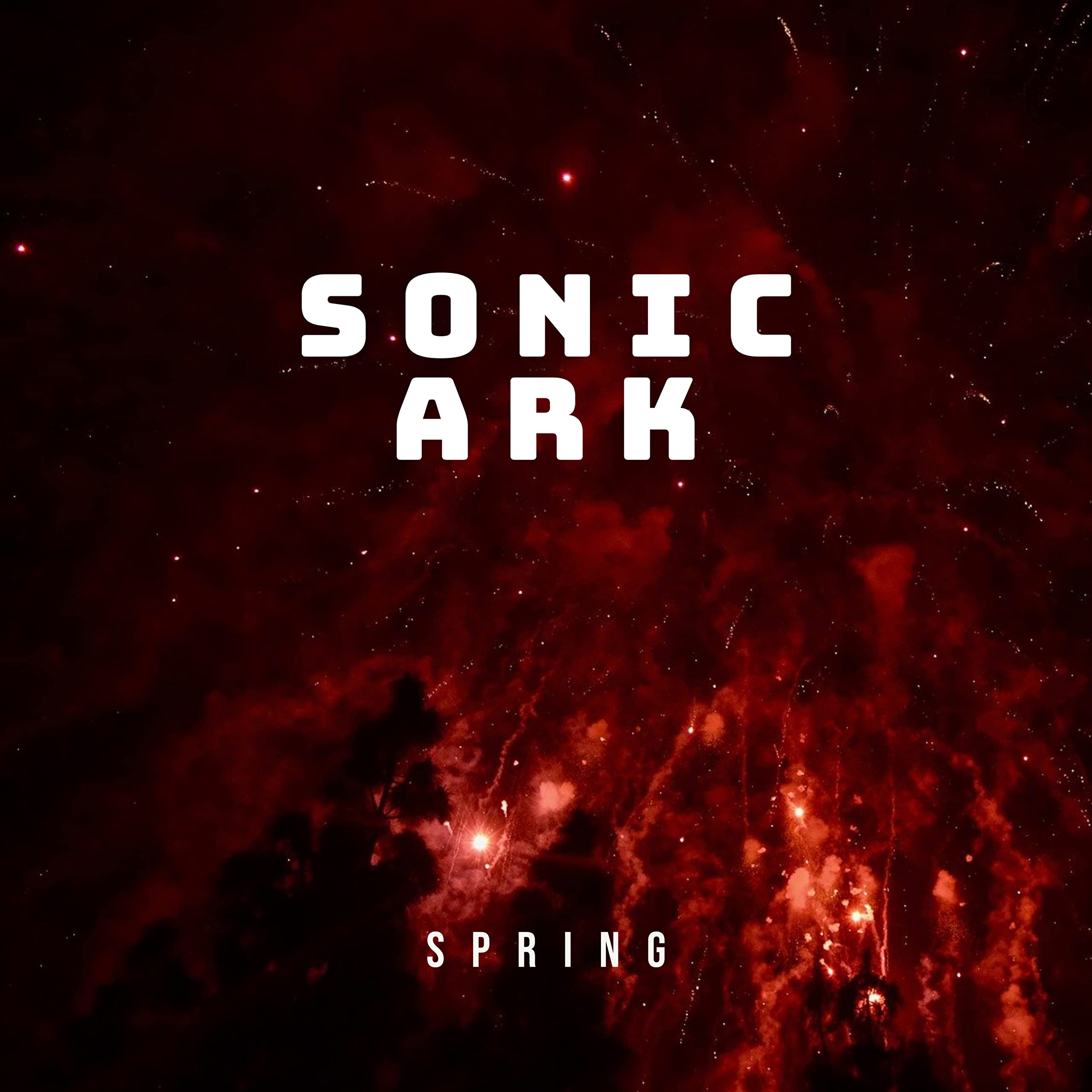 Sonic Ark