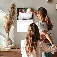 Vista 661 de Razas de Perros 2017