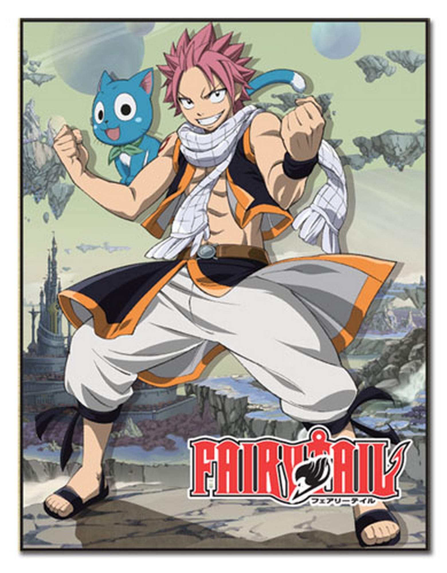 Great Eastern Entertainment 57698 Fairy Tail Natsu And Happy