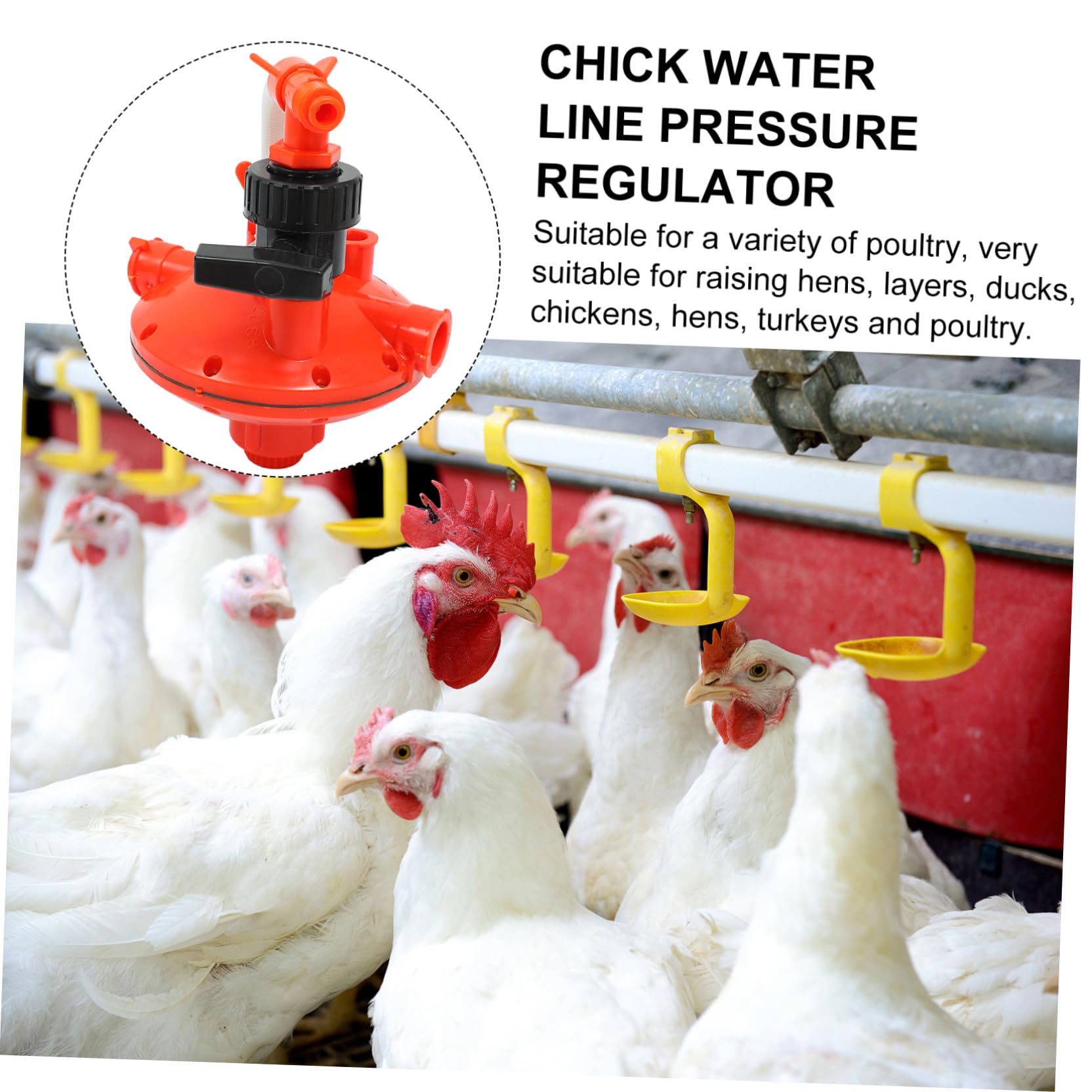 Regulador de Presión para Línea de Agua de Pollos, Diseño Ligero de Plástico Prevención de Fugas Adecuado Cría de Pollitos