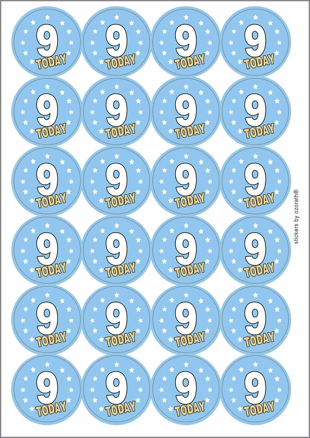 9 Nine Ninth 9th Birthday Today Circular Matt Paper Stickers A4 Sheet of 24 (Each Sticker is 45mm Diameter)