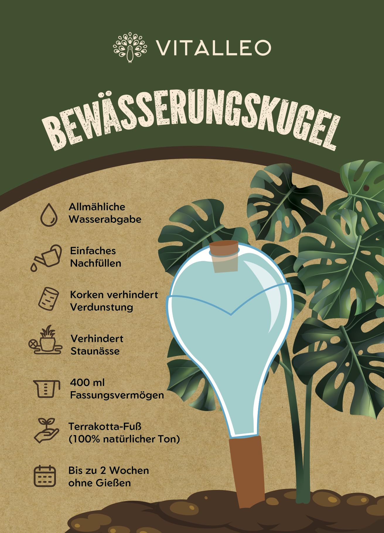 Lot de 6 boules d'irrigation - XL (400 ml) - Arrosage automatique des plantes - Distributeur d'eau pour plantes - Cône d'argile pour chambre et balcon - Blanc