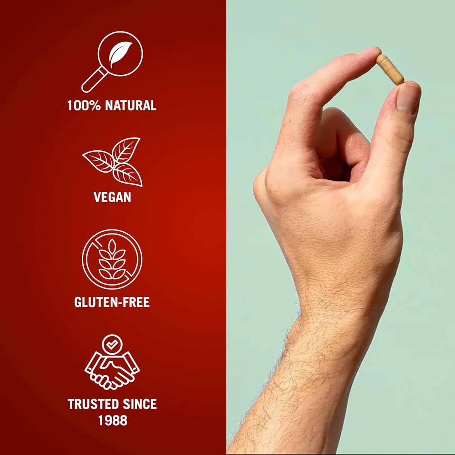 Century Systems The Cleaner Detox, Powerful 7-Day Complete I...