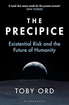 The Precipice A book that seems made for the present moment New Yorker