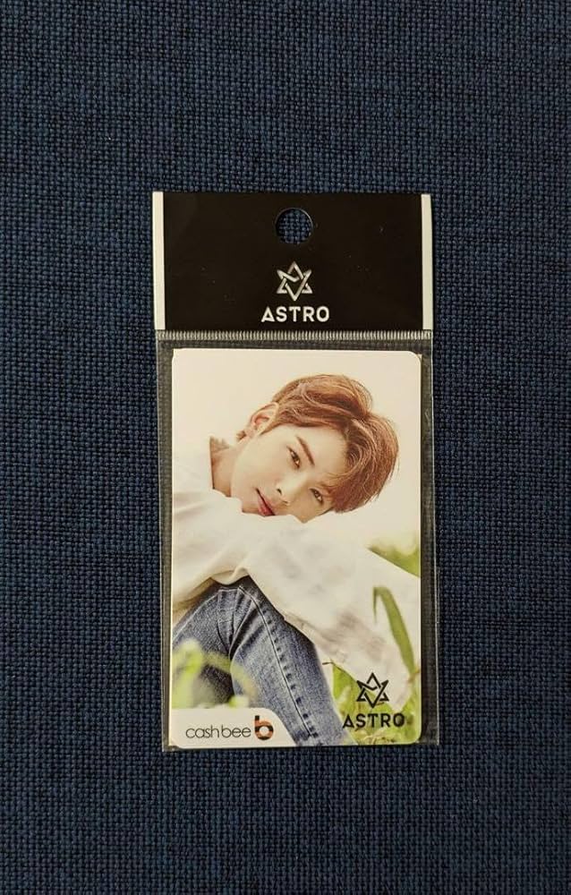 チャウヌ　交通カード Amazon.co.jp: ASTRO チャウヌ 交通カード T money : おもちゃ