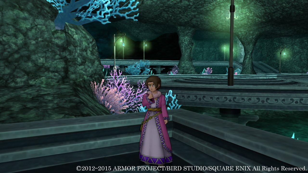 Dragon Quest X Online VERSION3 Dragon lore of Ancient Wii U