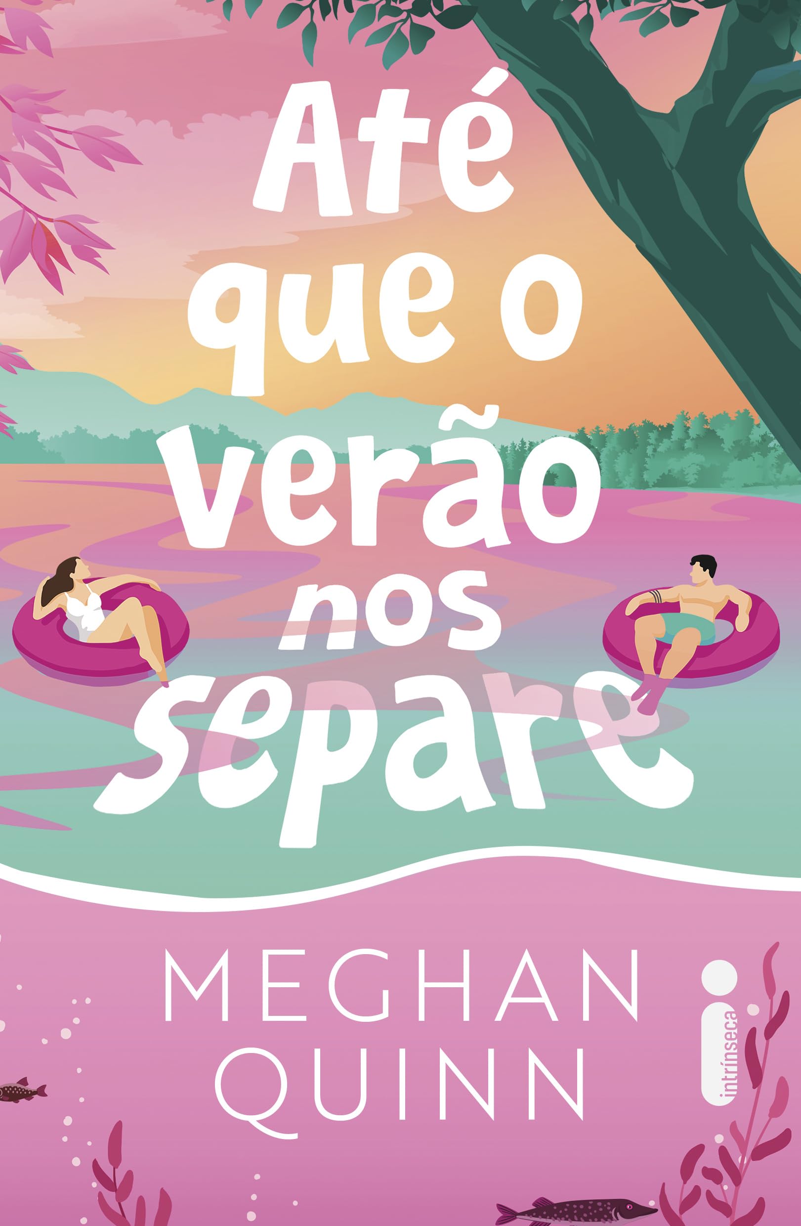 Capa do livro Até que o verão nos separe