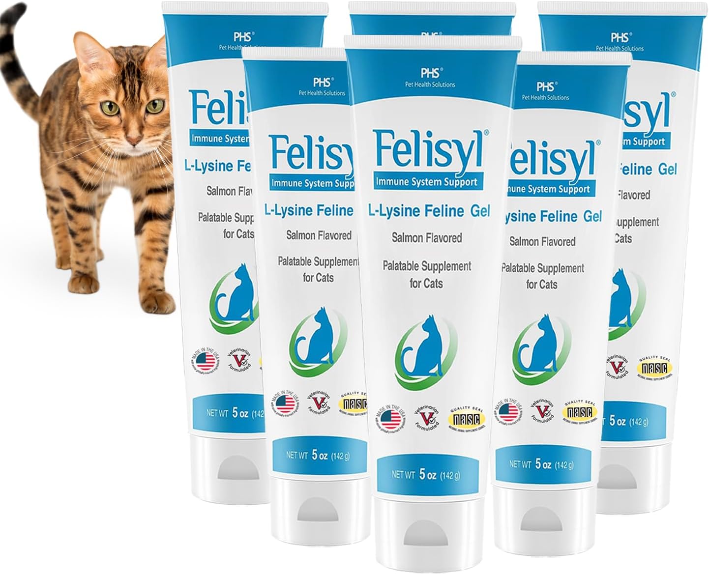 L-Lysine Gel for Cats - Immune System Support - Supplement Support for Healthy Tissue, Respiratory, and Vision - Salmon-Flavored - Made in The USA - 5 oz (6 Pack, Gel (5 oz.))