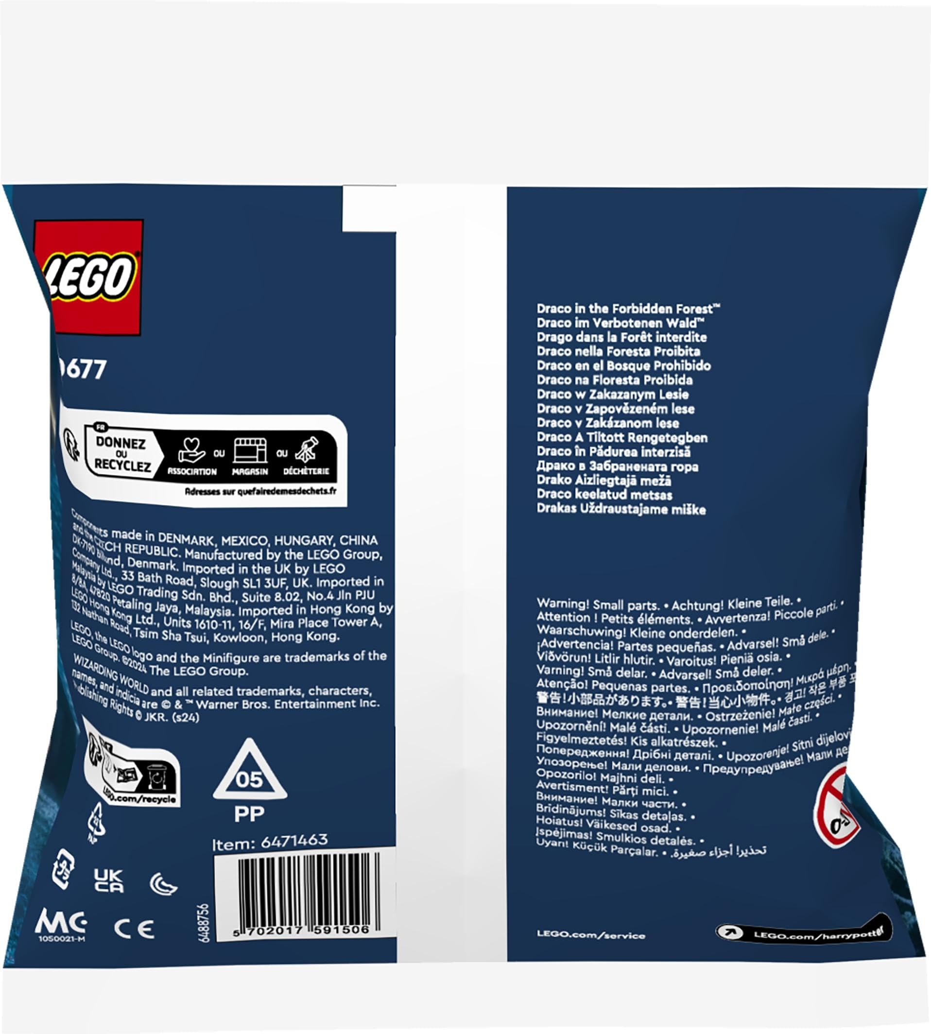 Amazon.com: LEGO 30677 Draco in the Forbidden Forest - New. : Toys