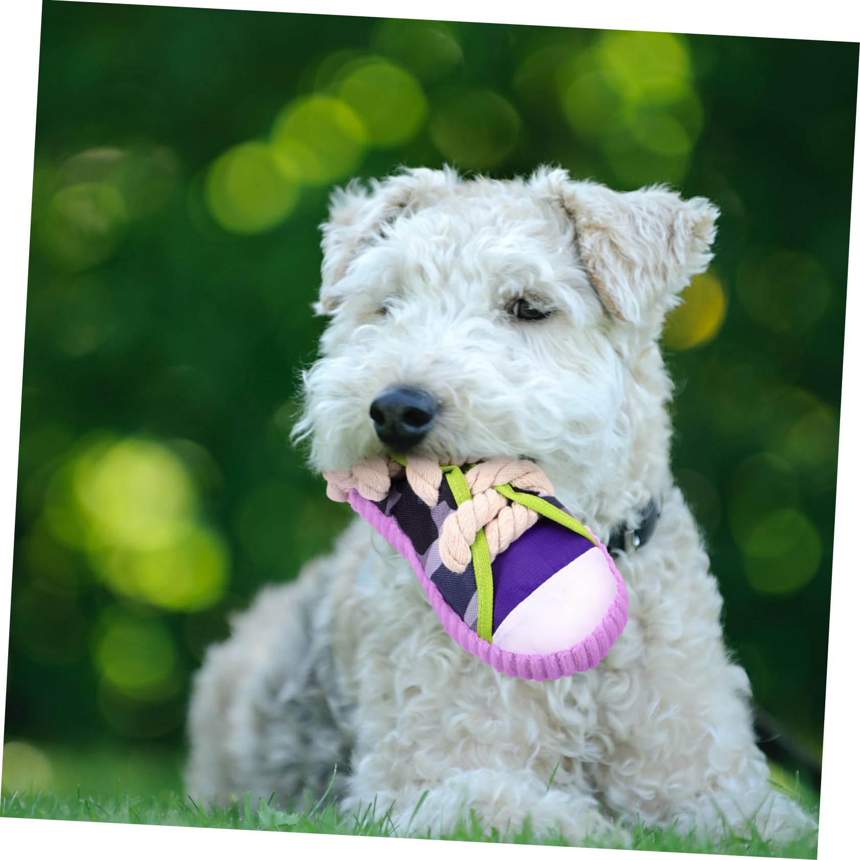 TOYANDONA Juguete para Perros Masticable Chirriante de Cuerda de Algodón, Tamaño Pequeño, Forma de Zapatilla Morada, Adecuado para Cachorros y Limpieza Dental en Entrenamiento Doméstico