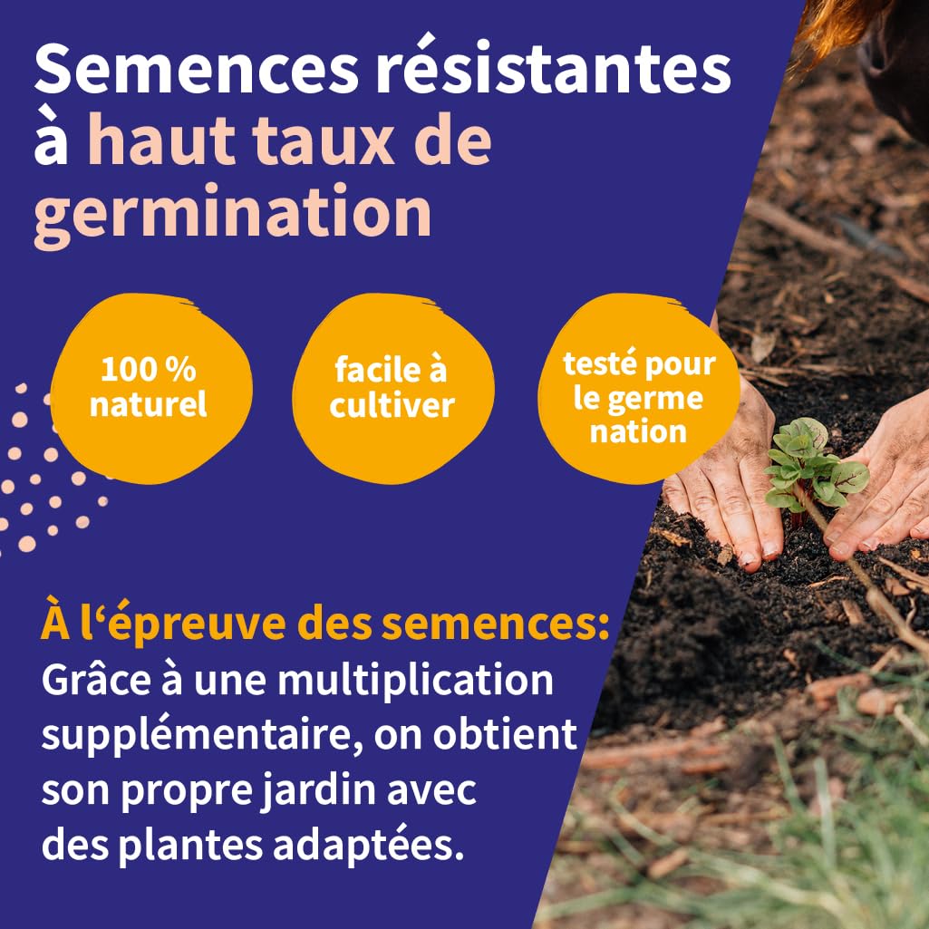Légumes rares kit cadeau graines 8 variétés