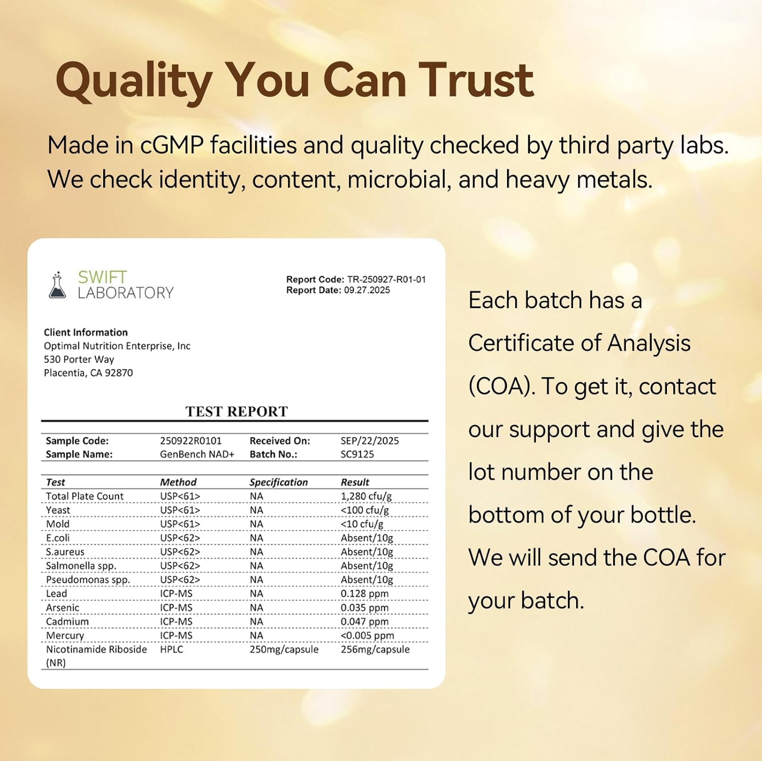 NAD+ Supplement for Healthy Aging & Energy, 500 mg Nicotinamide Riboside (NR) with CoQ10, HMB, Turmeric & Black Pepper, 60 Vegan Capsules | Supports Muscle Strength & Recovery, Heart Health - Image 7