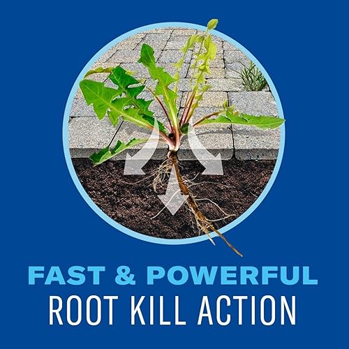 Miniatura 3 de BioAdvanced Eliminador de malezas y hierbas, 64 onzas, súper concentrado