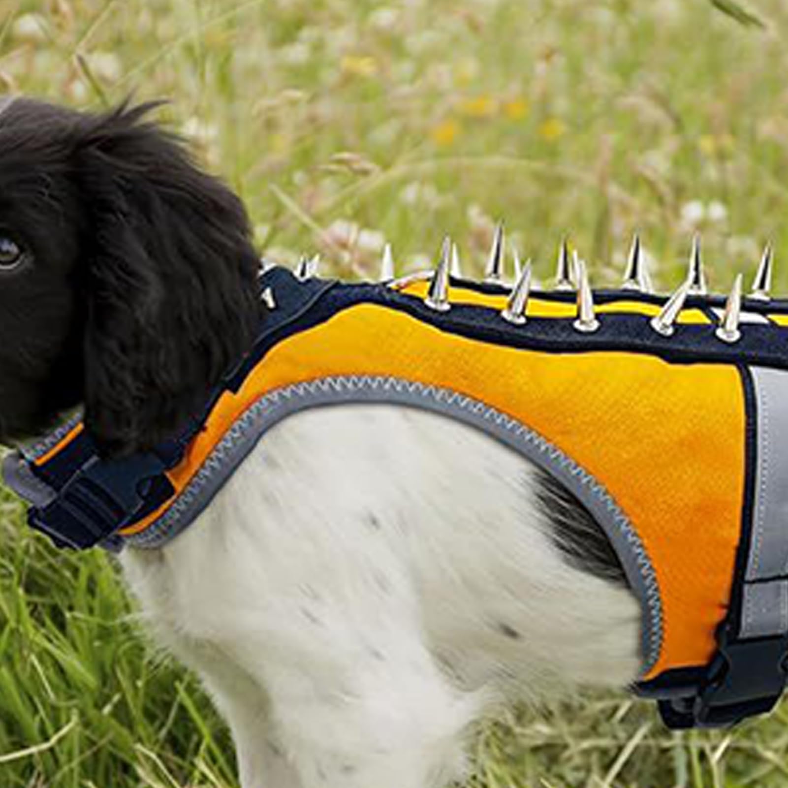 Chaleco Anticoyote Canino con Púas Arnés Protector con Púas Ajustable | Arnés Reflectante Para Cachorro para Protección de Mascotas Contra Ataques de las Aves Rapaces Durante la Caza Nocturna al A