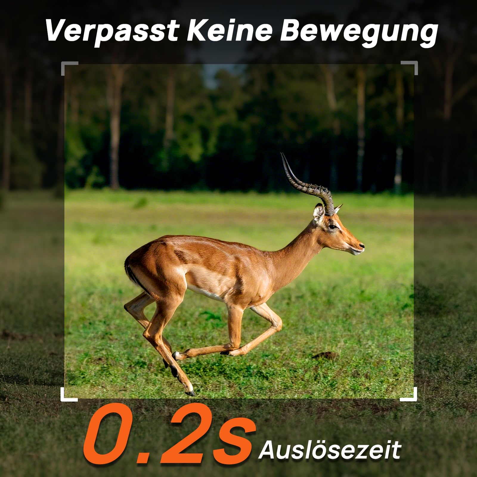 iZEEKER 2 in 1 Cloud 4G & Standard Wildkamera, 2K HD 48MP Wildkamera mit Bewegungsmelder Nachtsicht App-Steuerung Time Lapse Loop Aufnahme Kein WLAN IP66 Wasserdicht mit SIM-Karte für Wildtiere