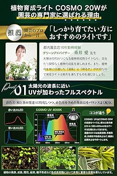 ボンボネロ 蓄光 蛍光 グリーン ボンボネロ 蓄光グリーン BONBONERO】蓄光 | TENt o TEN
