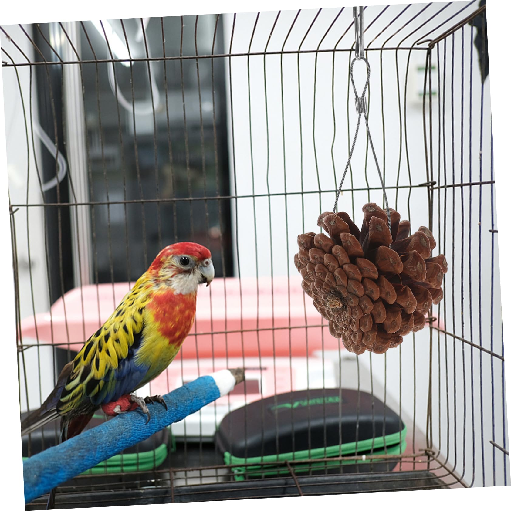 BESPORTBLE 30piezas Juguete De Forrajeo Natural para Aves y Periquitos De Piñas De Pino Juguete Masticable Seguro para Mascotas para Estimulación y Entretenimiento De Pájaros