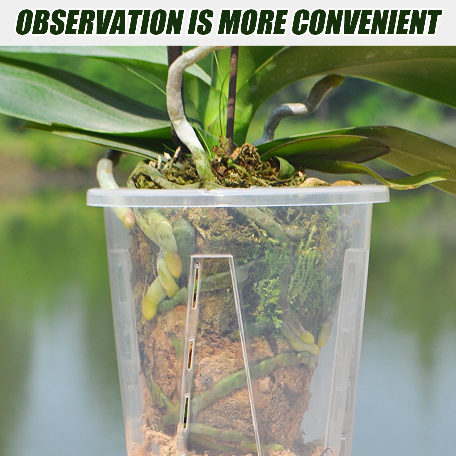 FerraDrend 10 Pièces Pot Pour Orchidées En Plastique, Pots à Orchidées Transparents Avec Trou De Drainage, Pot De Fleurs Plastique Pour Bureau De Balcon Intérieur Et Extérieur