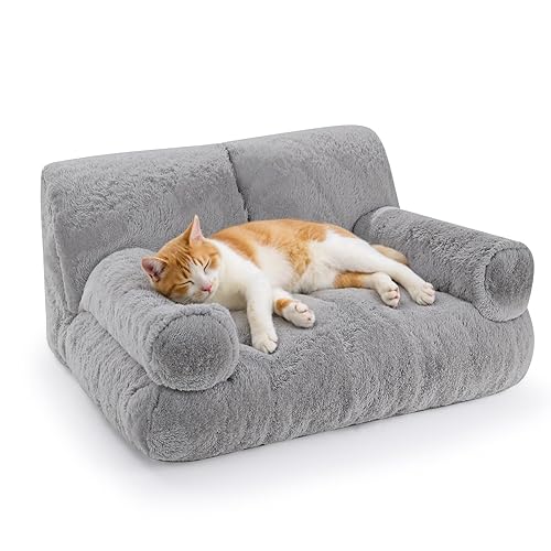 Cat Couch For Cassie