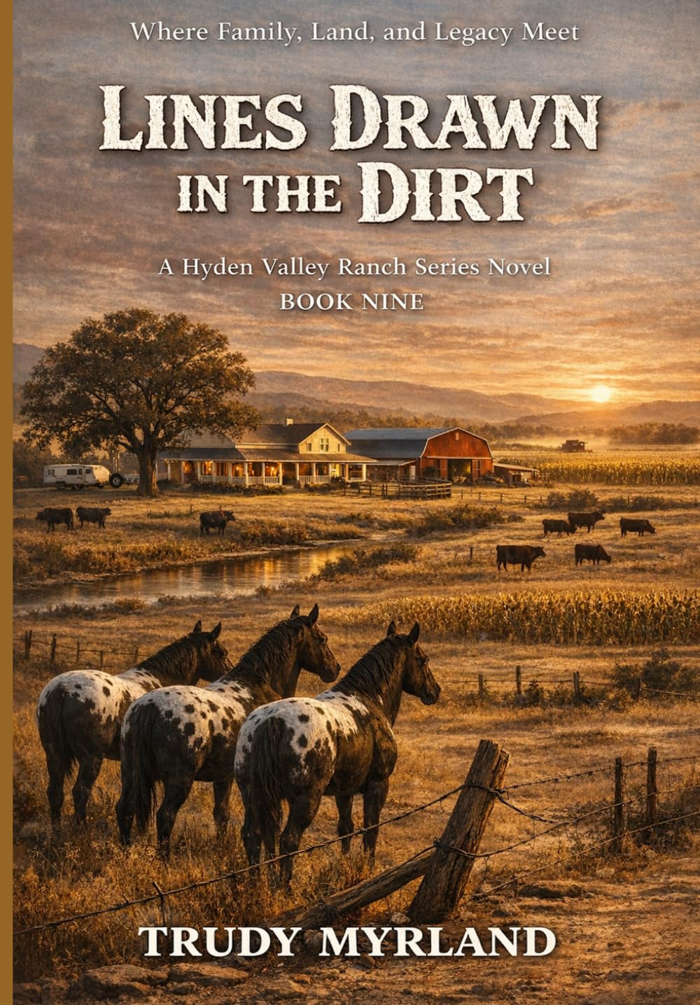 Lines Drawn In The Dirt: BOOK NINE (Hyden Valley Ranch)