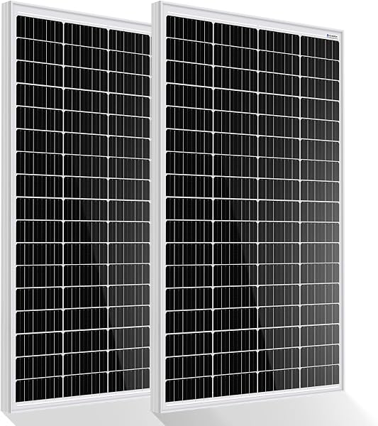 ECO-WORTHY Lot de 2 Panneaux Solaires Monocristallins 170W chacun