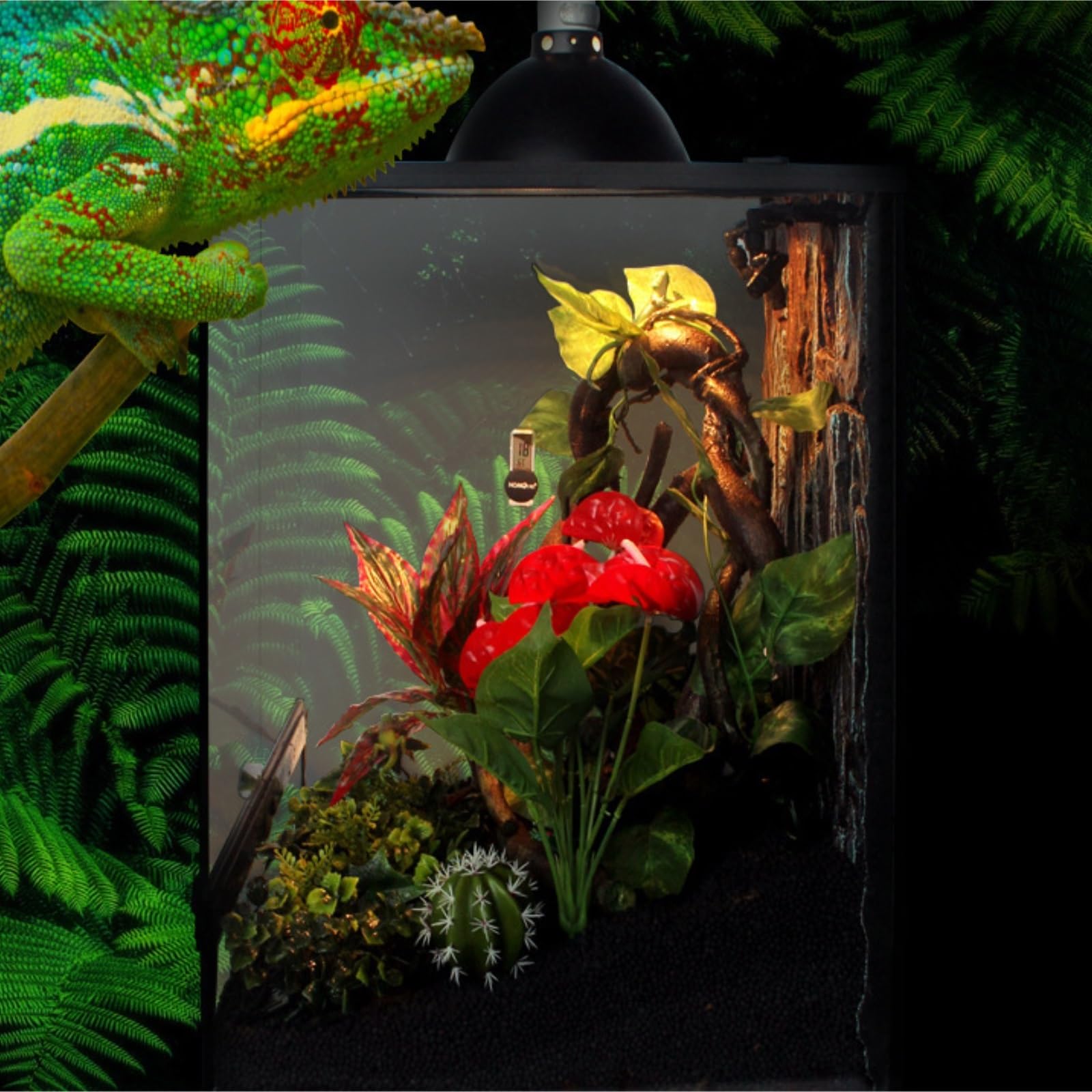 Pudełko Do Karmienia Szklane, Przezroczyste Pudełko Do Karmienia I Hodowli Gadów Terrarium Dla Gadów(45x60cm)