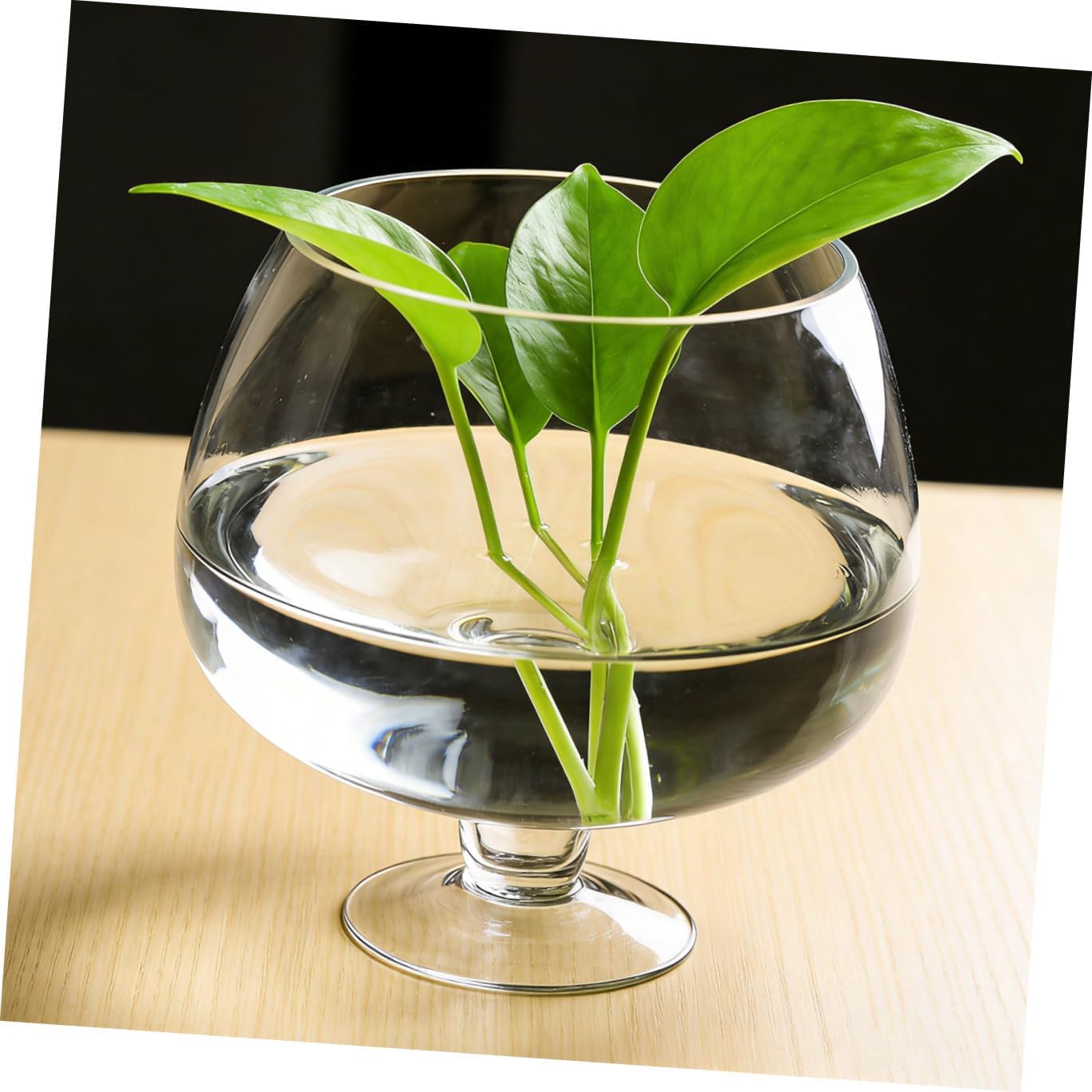 Aquarium Tank Multi-Functional Betta and Desktop Decor Landscape Fish Bowl for