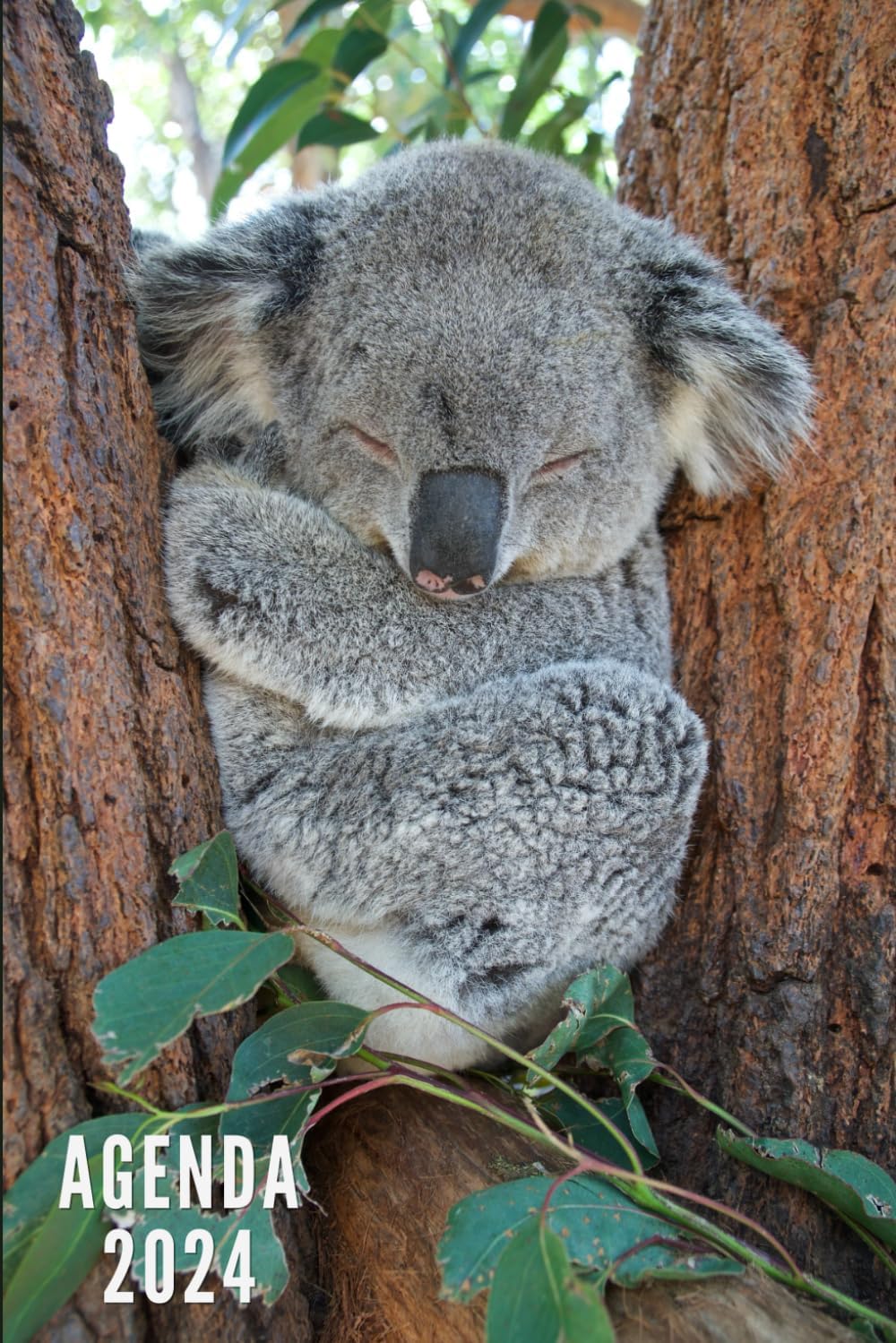 Independently published Agenda 2024: Koala - Settimanale e Mensile da Gennaio a Dicembre 2024 | 12 Mesi | Ideale per Studenti, Professionisti e Individui | Calendario Annuale, Lista dei Contatti, Appunti