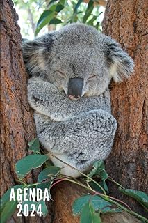 Independently published Agenda 2024: Koala - Settimanale e Mensile da Gennaio a Dicembre 2024 | 12 Mesi | Ideale per Studenti, Professionisti e Individui | Calendario Annuale, Lista dei Contatti, Appunti