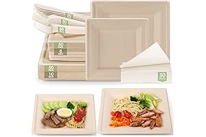 Compostable Paper Plates Set for a Rustic Outdoor Gathering