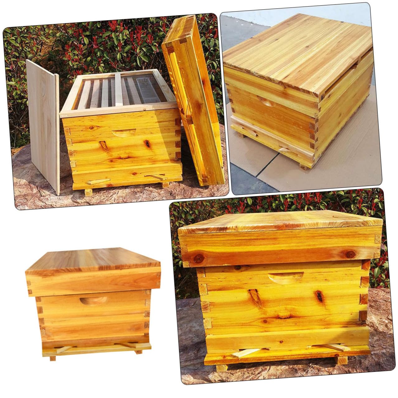 BESPORTBLE Wooden Bee Hive Box with Waxed Pine Wood, Breathable Screened Frame Beehive for Outdoor Garden Beekeeping, Safe and Sturdy Beekeeping Equipment Kit