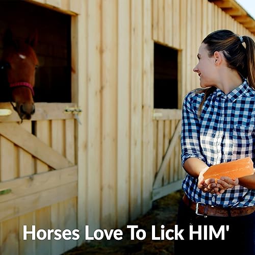 Miniatura 13 de Roca mineral de sal para lamer animales, sal de roca 100% natural - Roca atractante de ciervos