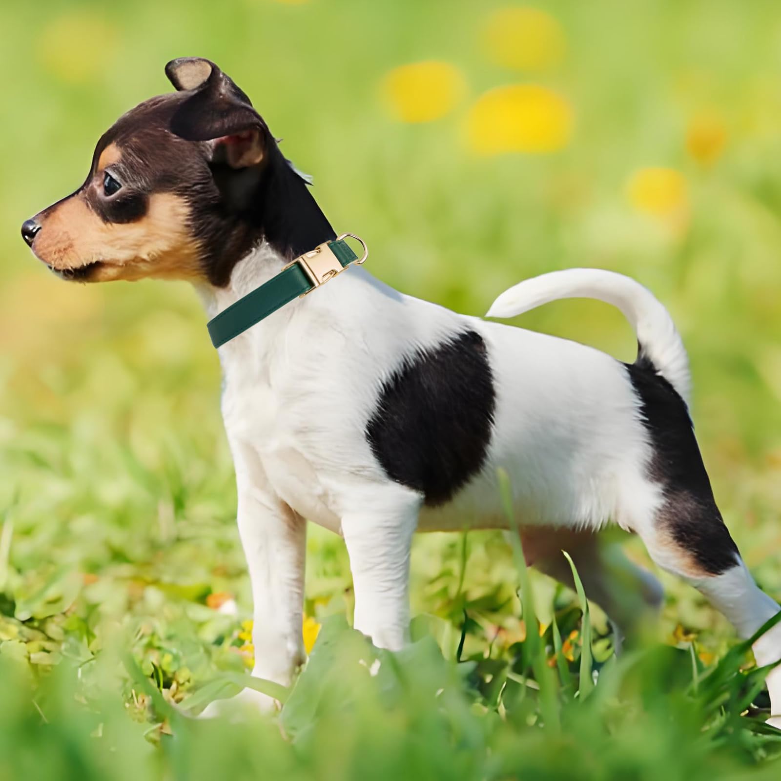 YUDOTE Soft Leather Dog Collars with Safety Quick Release Metal Buckle,Natural Cotton Padded Pleather Collar for Puppies with Senstive Skin,Green - Image 2