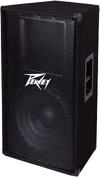 Peavey PV115 2-Way 15 Inch Speaker Cabinet