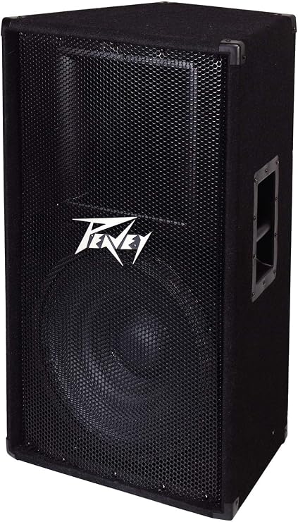 Peavey PV115 2-Way 15 Inch Speaker Cabinet