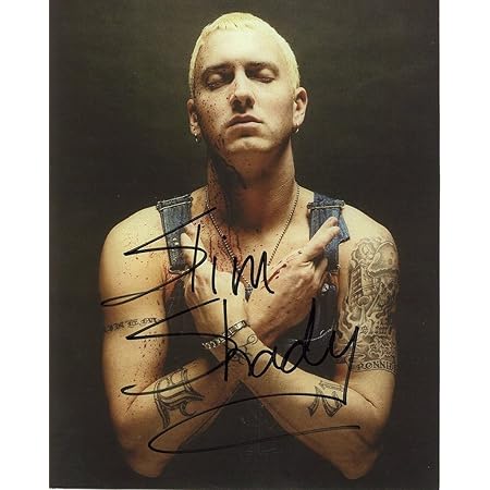 Шеди собака