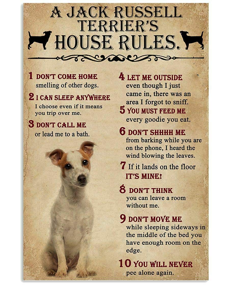 Bioprocess Jack Russel Rules Notice Funny For Livingroom For Dad Decor Metal Sign Tin Sign Decor Poster Wall Art Poster 8X12 Inches