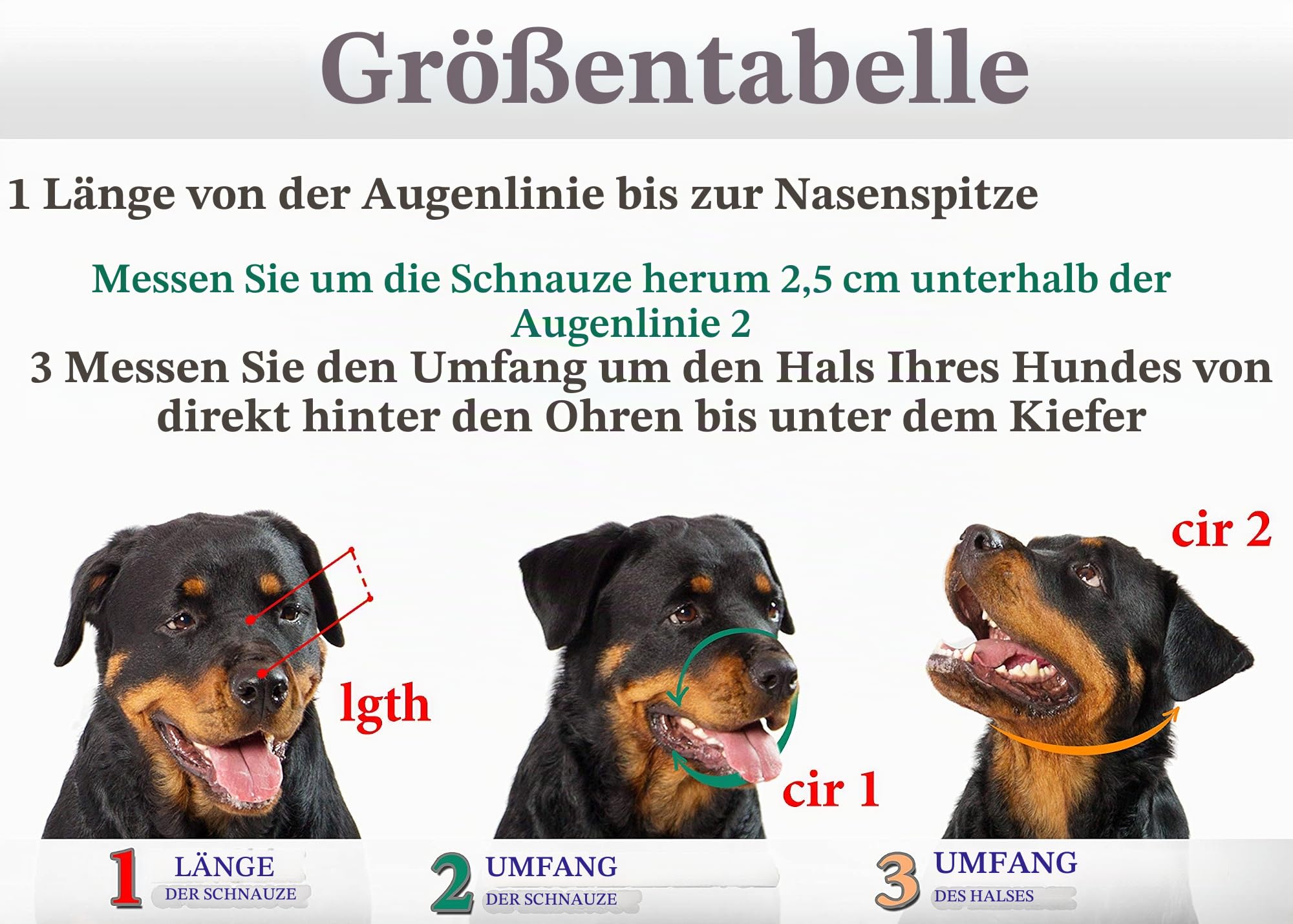 Metall-Maulkörbe für Hunde, Rottweiler, Nr. 3 Drahtkorb, verstellbare Lederriemen, Leder, Verstellbarer Umfang von 26,9–38,1 cm, Länge 6,9 x 9,4 cm