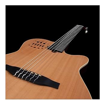 【値下げ】Godin Multiac Nylon SA ゴダン エレガッドギター Amazon | Godin (ゴダン) エレガットギター ナイロンギター
