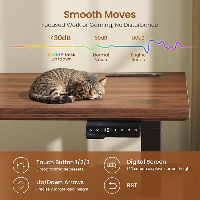 Escritorio Ajustable Electrico Standing Desk 160x70 cm Negro miniatura 7