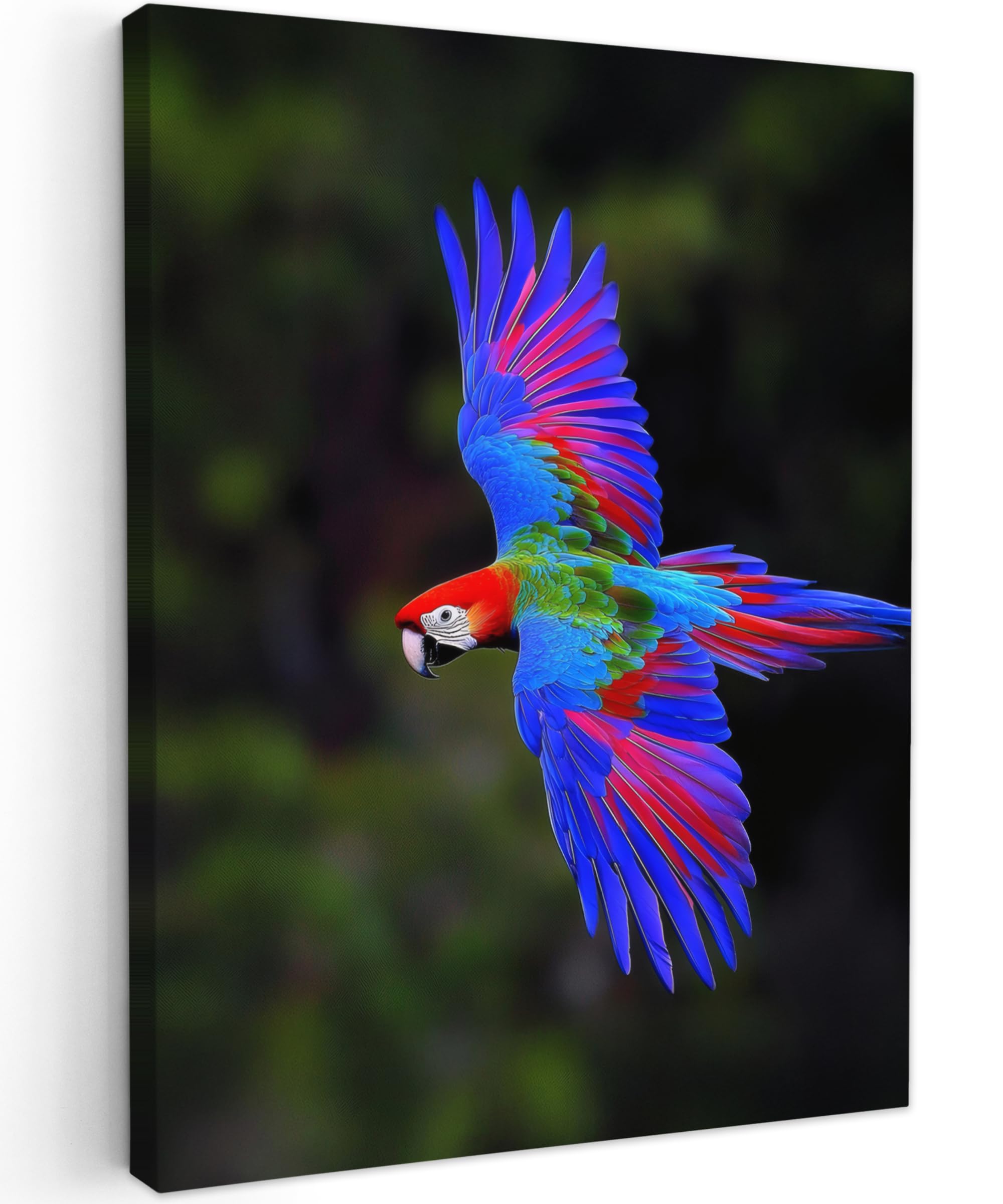 MuchoWow© Canvas Wall Art 24"x31" / 60x80 cm Decor Prints for Living Room Decorative Canvases Hall Artwork Bright - Parrot - Forest - Wings