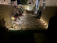 Review Image by C. Willoughby C. Willoughby