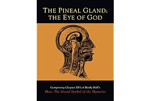 The Pineal Gland: Enhance Your Spirituality and Consciousness