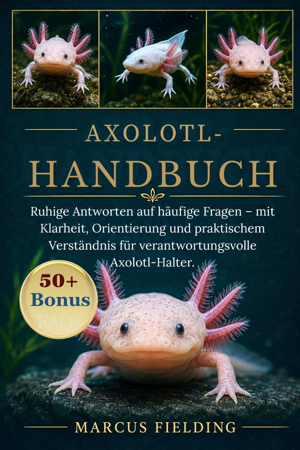 AXOLOTL-HANDBUCH: Ruhige Antworten auf häufige Fragen – mit Klarheit, Orientierung und praktischem Verständnis für verantwortungsvolle Axolotl-Halter.